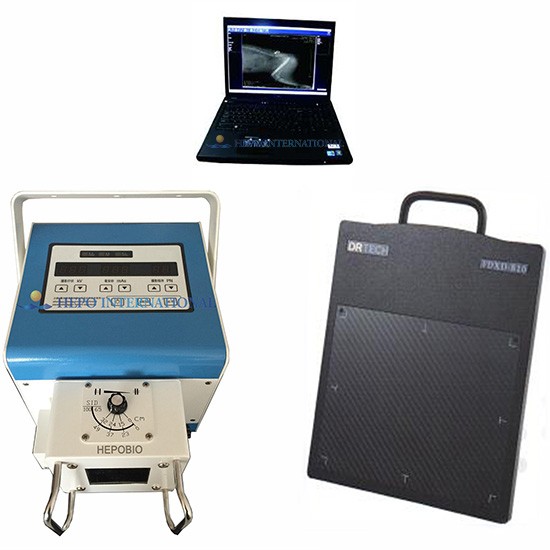 Veterinary Mobile Digital High Frequency X Radiography Imagine Working Station