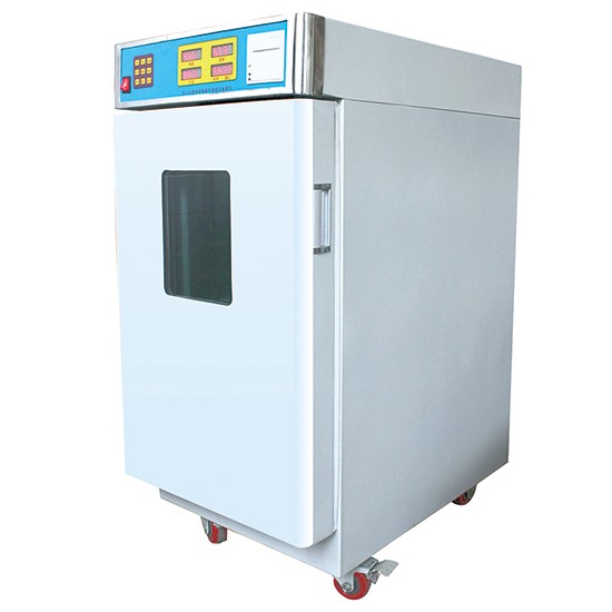 Hospital Popular Safety Ethylene Oxid Autoclave