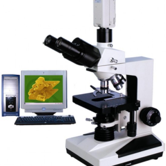 HP-BM800 Laboratory Popular Biological Microscope