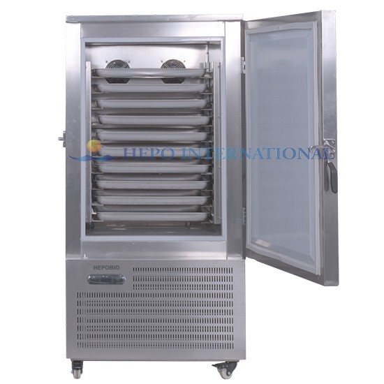 Full Stainless Steel Blast Freezing Deep Freezer